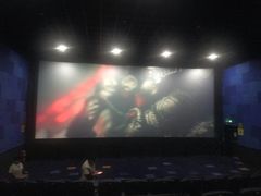 放映厅-华联影城(蒙城路店)