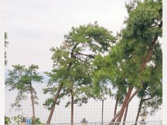 -宝荣鱼馆·临湖之宴(千岛湖店)