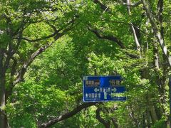-紫金山天文台