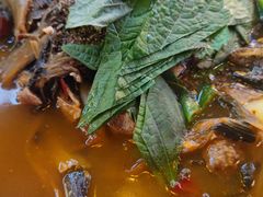 -包装马车·韩国料理·포장마차