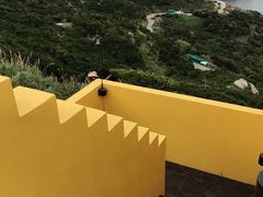 -枸杞岛