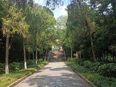 -灵谷景区