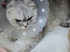 -美联众合动物医院·24h京西诊疗中心