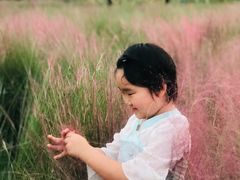 -艾溪湖湿地公园