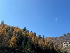 -芦芽山旅游度假区