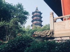 -绳金塔