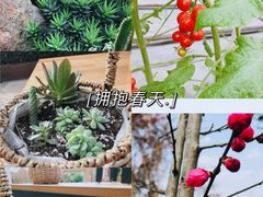 -黄龙溪欢乐田园