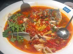 -坛宗剁椒鱼头(河西王府井店)