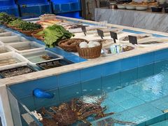 -莆鑫海鲜城(浏河店)