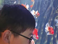 -暹罗海洋世界