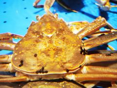 -徐记海鲜·宴会(大唐西市|丰庆店)