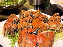 -梧桐花园餐厅(新城店)