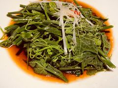 山茶油丝瓜尖-清水亭湖北菜(大屯DT51店)