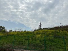 -苏州太湖西山岛开心农场