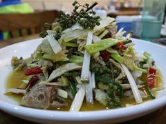 椒麻鸡-阿达西新疆餐厅(西北大学店)
