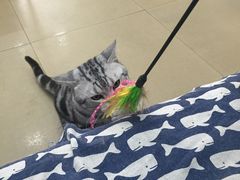 -汪星球宠物生活馆