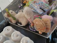 -Xcape异时刻密室逃脱魔法互动(瑞虹天地太阳宫店)