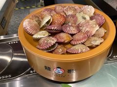 -龍歌自助小火锅(市南金茂湾店)