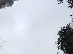 -百色大石围天坑群