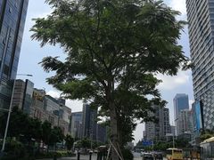 -IPARK购物中心
