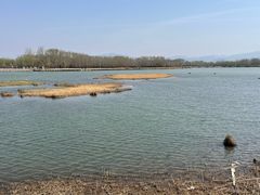 -野鸭湖国家湿地公园