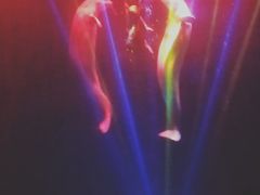 -芜湖新华联大白鲸海洋公园