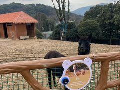 -无锡动物园·太湖欢乐园