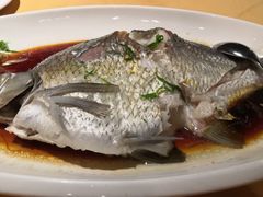 -韶关经律论国际酒店温泉