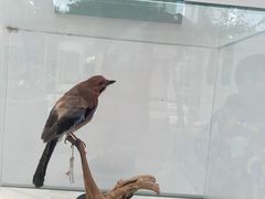 -陕西自然博物馆