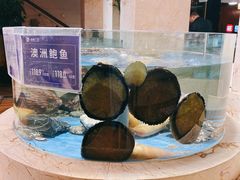 涮澳洲鲜鲍-旺顺阁海鲜广场(亚运村店)