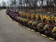 -天津东丽湖风景区