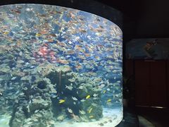 -成都浩海立方海洋公园