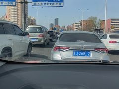 -桃花堤公园