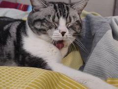 -仁和四季涮肉馆(天坛南门店)