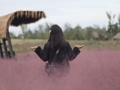 -白鹭湾湿地公园