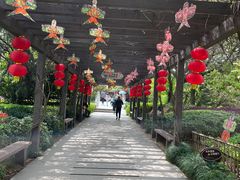 -白马涧龙池景区