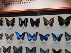 -吉林省自然博物馆