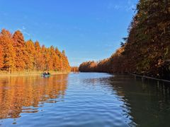 -上海海湾国家森林公园