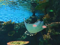 -华夏文旅海洋公园