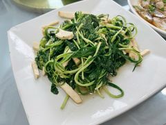 马兰头炒豆干-山涧阁农家菜(南北湖店)