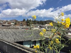 -浔岚云舍mist静谧观景美宿(丽江古城店)