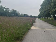 -汉长安城未央宫国家考古遗址公园