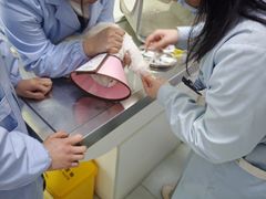 -汪喵宠物医院·骨科心脏影像·犬猫急重症ICU诊疗中心(成华分院)