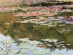 -星巴克臻选(深圳华强北茂业店)