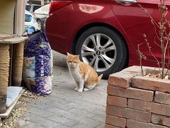 -萌兽医馆·犬猫专科·眼科中心·宠物医院(朝阳门分院)