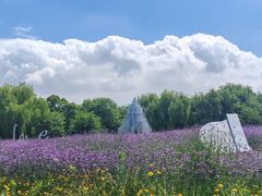 -梁鸿国家湿地公园