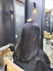 -藤野造型