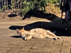 -土灶柴房(世贸店)