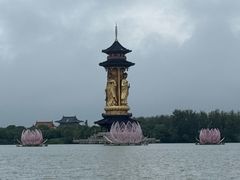 -溱湖国家湿地公园