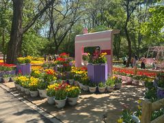 -沈阳植物园